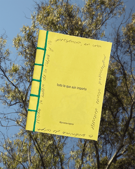 Fanzine "Todo lo que aún Importa"