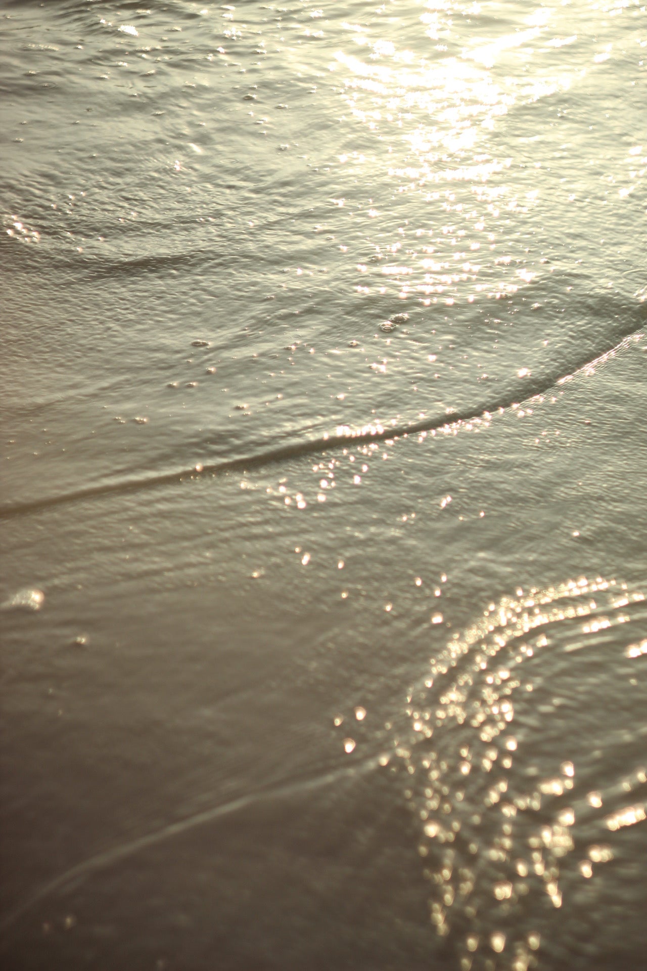 Introspeccion en el oceano