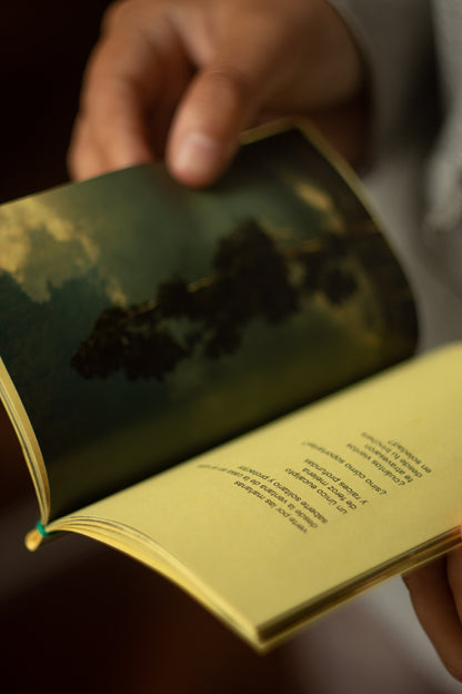 Fanzine "Todo lo que aún Importa" + Correo caracol