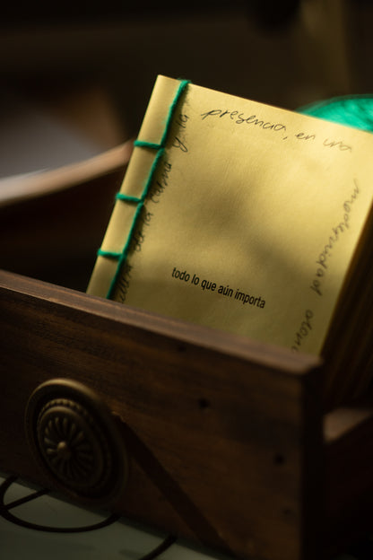 Fanzine "Todo lo que aún Importa" + Correo caracol