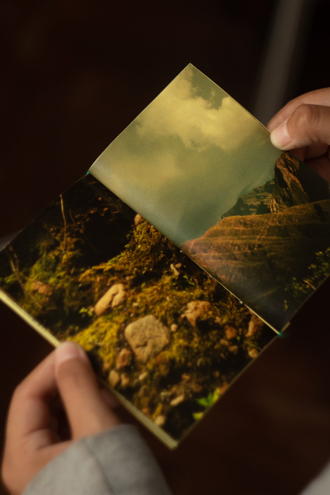 Fanzine "Todo lo que aún Importa" + Correo caracol