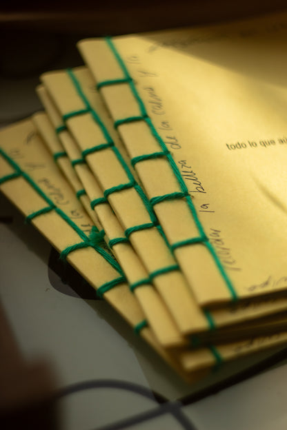 Fanzine "Todo lo que aún Importa" + Correo caracol