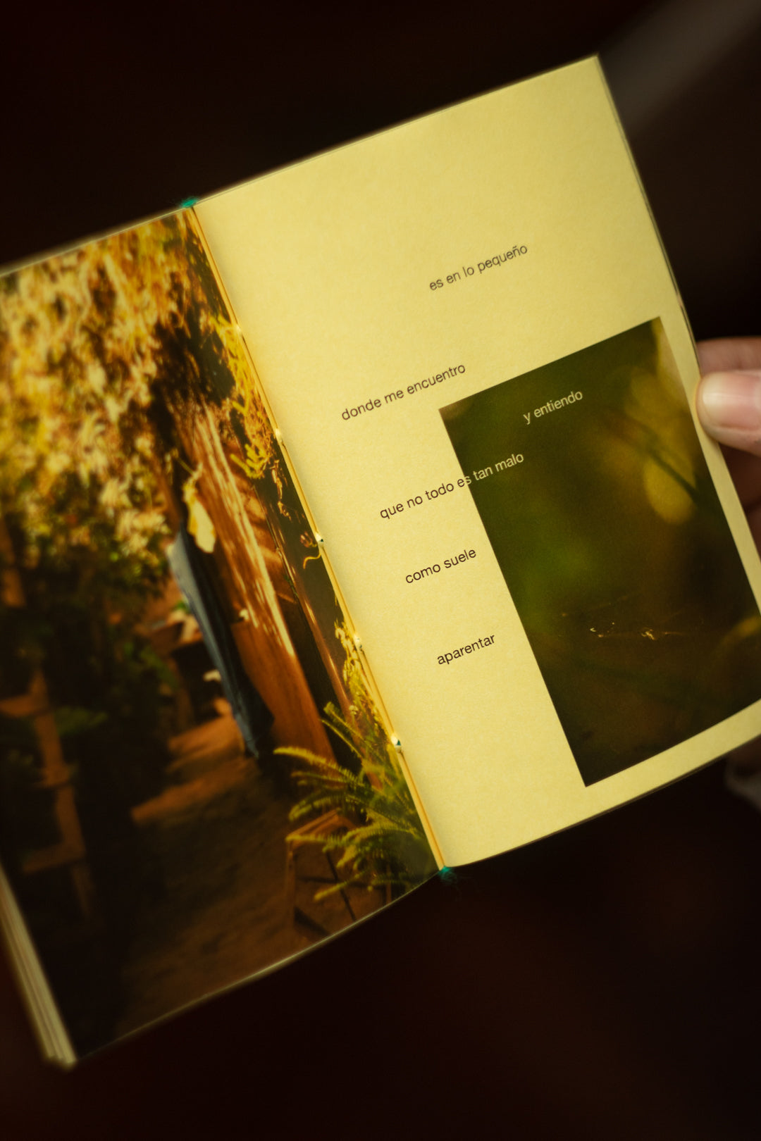 Fanzine "Todo lo que aún Importa" + Correo caracol