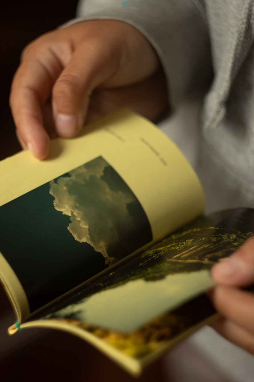 Fanzine "Todo lo que aún Importa" + Correo caracol